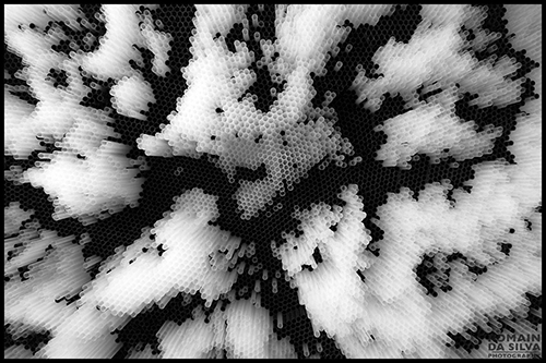 Stacks Image 12